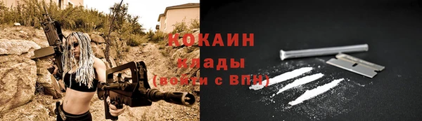 сатива Арсеньев
