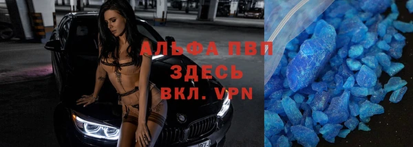 сатива Арсеньев