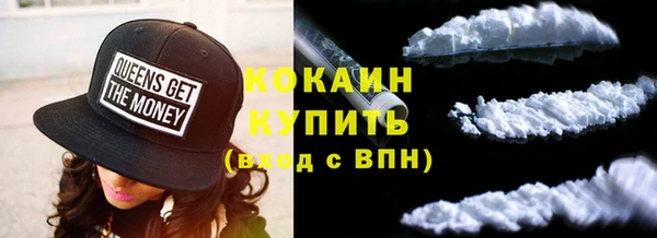 сатива Арсеньев