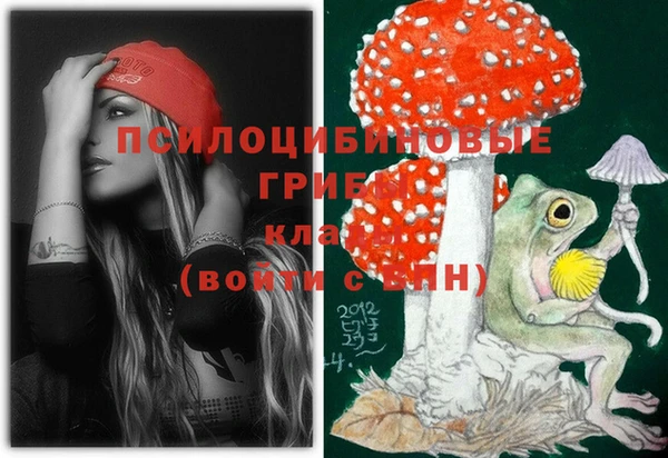 дмт Аркадак