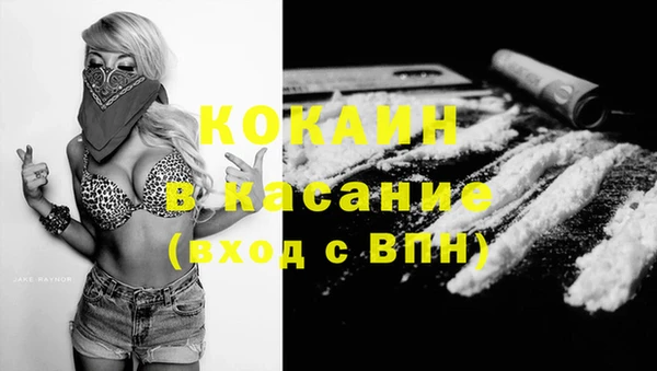 дмт Аркадак