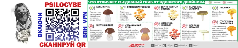 darknet какой сайт  Билибино  Псилоцибиновые грибы мухоморы  дарнет шоп 